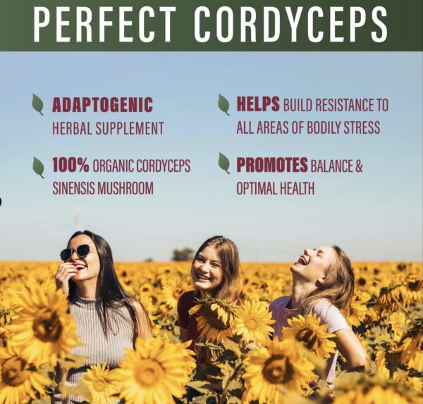 Perfect Supplements cápsulas adaptogénicas Perfect Cordyceps
