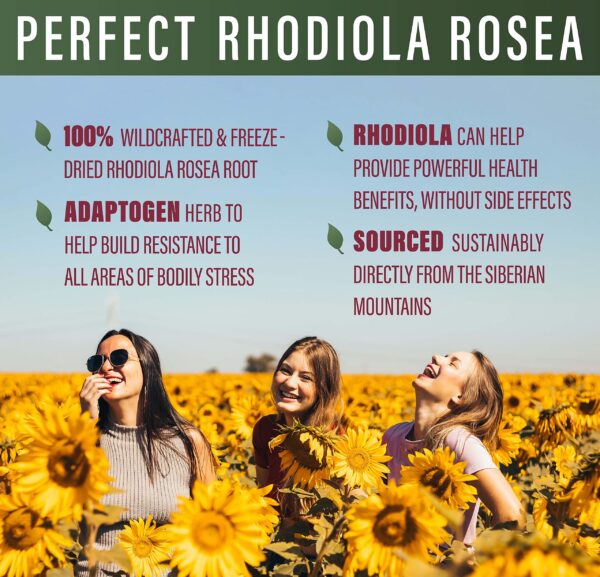 Perfect Supplements cápsulas Rhodiola Rosea para resistencia y memoria