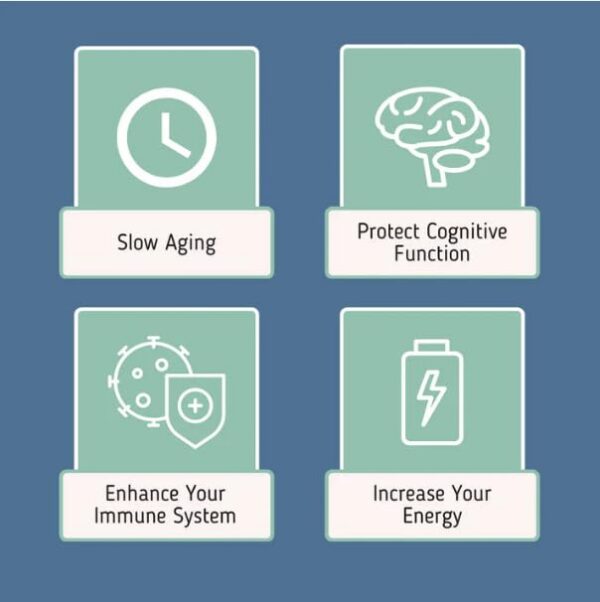 Contenido y composición de NAD+ precursores