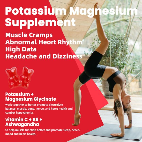 Version 1.0.0 Envase Pets Purest gomitas potasio magnesio