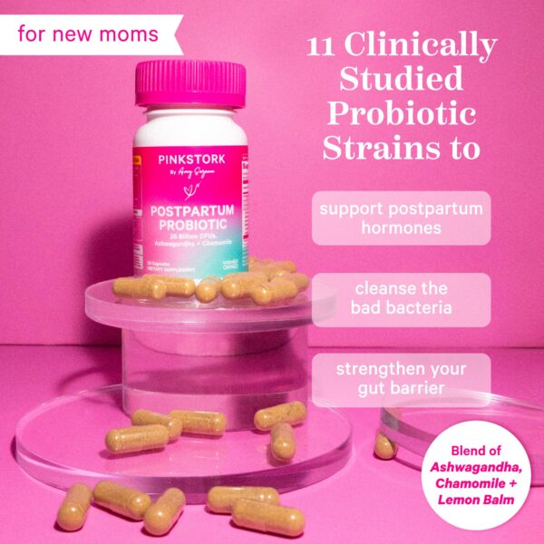 Version 1.0.0 Etiqueta Probiotics Pink Stork