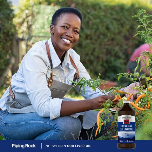 Version 1.0.0 Goter o etiqueta detallada