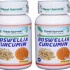 Planet Ayurveda Boswellia Curcumin cápsulas veganas 500mg dos botellas