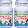 Version 1.0.0 Planet Ayurveda Punarnava Mandur tabletas herbales naturales