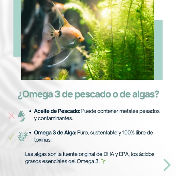Empaque biodegradable de Plantceutics Omega-3