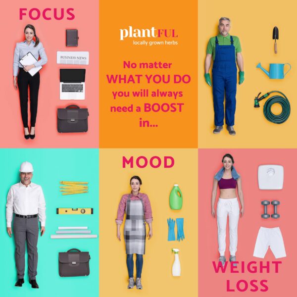 Cápsulas dentro del frasco Plantful Thyroid