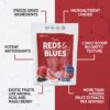 Polvo antioxidante liofilizado PEScience Reds & Blues