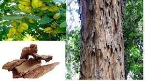 Polvo Arjun chaal Bellentines presentación detalle del empaque