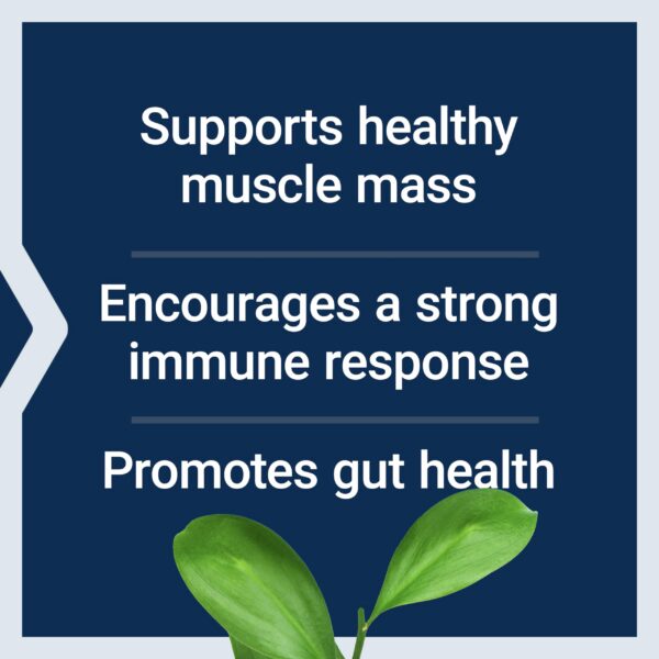 Polvo blanco L-Glutamina Life Extension contenido