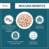 Detalle de polvo blanco Mucuna Pruriens, suplemento ayurvédico