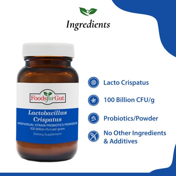 Polvo blanco probiótico Foods For Gut alta pureza y calidad