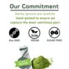 Polvo puro de cebada verde japonés con complejo de vitamina B y zinc