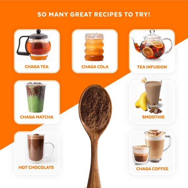 polvo chaga para defensa inmune y soporte digestivo