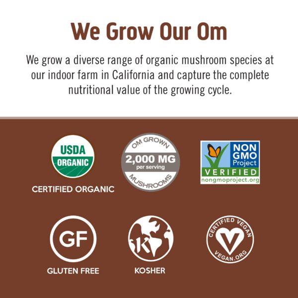 Polvo champiñones funcionales para energía y concentración OM Mushroom