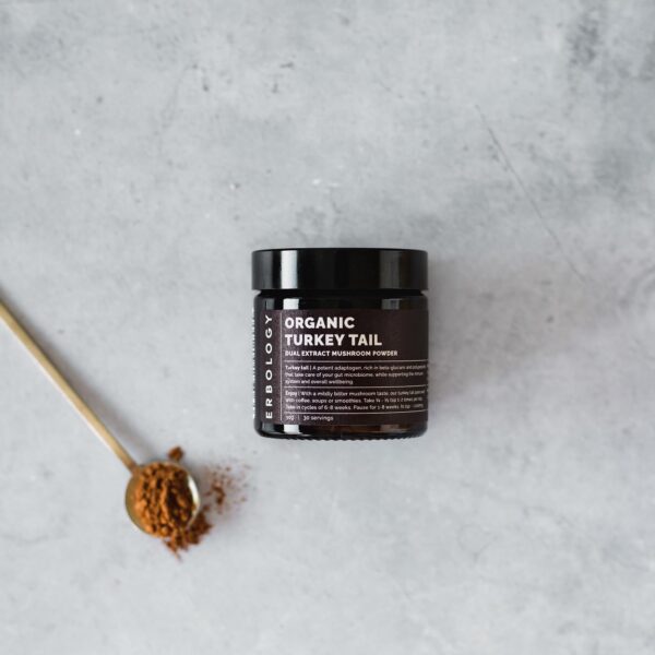 Version 1.0.0 Polvo de Cola de Pavo para salud intestinal