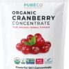Polvo concentrado orgánico arándano rojo PURE CO 50:1