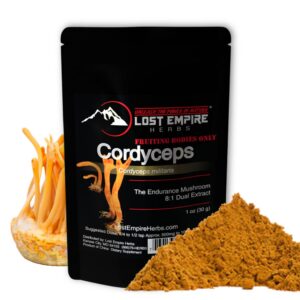 Version 1.0.0 Polvo de Cordyceps Militaris orgánico en envase Lost Empire Herbs