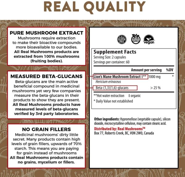 Polvo de Cordyceps Real Mushrooms para energía y vitalidad