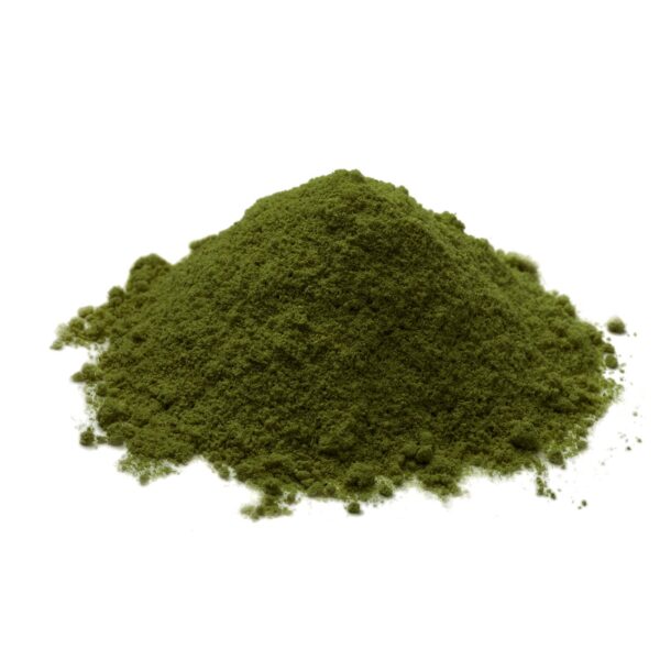 Polvo en cuchara alga chlorella natural