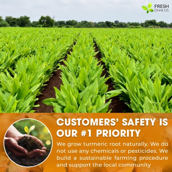 Polvo de cúrcuma para condimentar y mejorar salud diaria