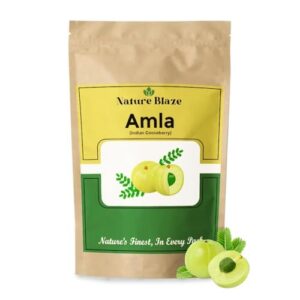 Polvo de extracto de Amla orgánico 200 gramos empaquetado