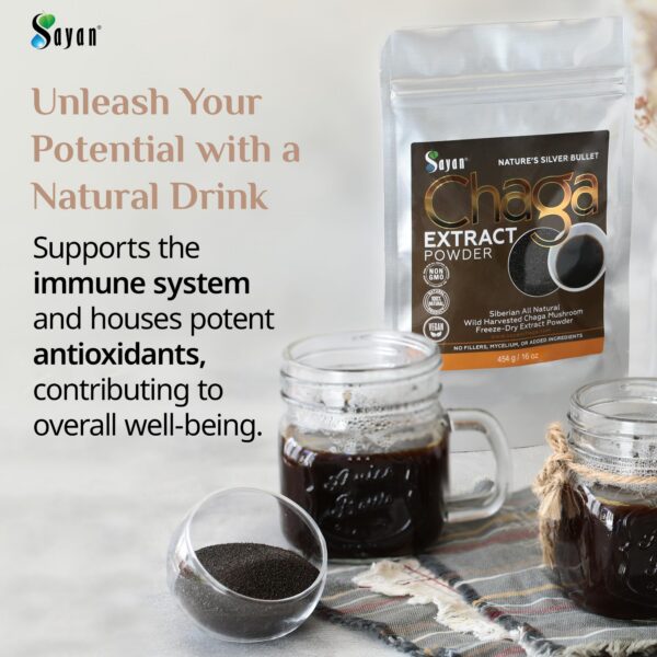 polvo extracto chaga silvestre de siberia