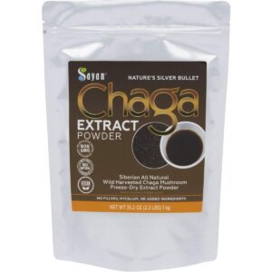 Polvo de extracto de hongo Chaga Sayan 1 kg paquete