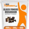 Polvo extracto hongo melena de león BulkSupplements 250g