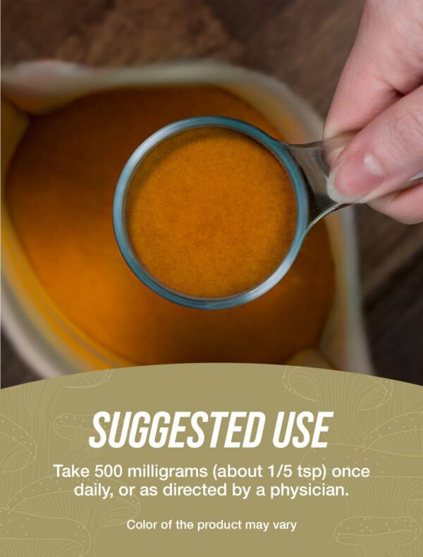 Polvo-extracto-hongo-negro-BulkSupplements-presentacion-frontal