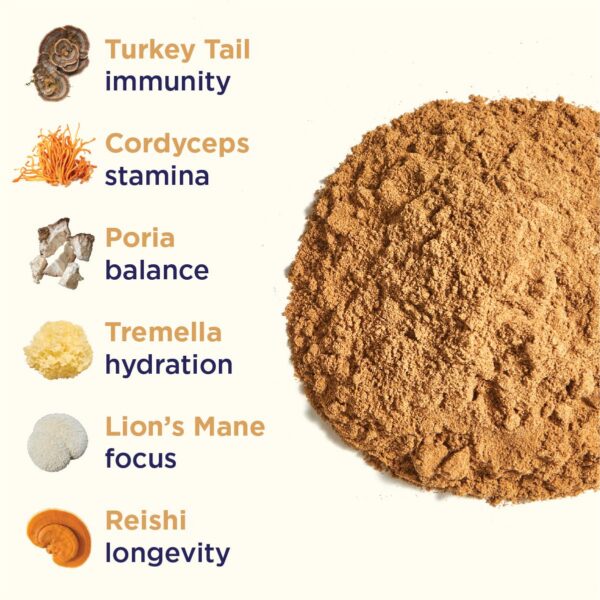 Polvo de extracto de hongos orgánico Rasa Magnificent Mushrooms