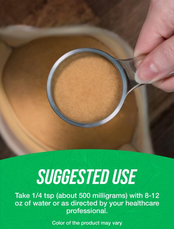 Version 1.0.0 Polvo extracto de okra para bienestar general BulkSupplements