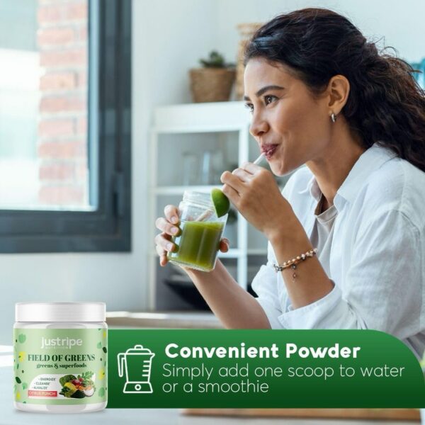 Version 1.0.0 Polvo verde Field of Greens con espirulina y probióticos