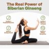 Polvo ginseng siberiano Go Nutra suplemento herbal para energía