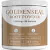 Version 1.0.0 Polvo de goldenseal orgánico 1000mg suplemento iVitamins envase frontal