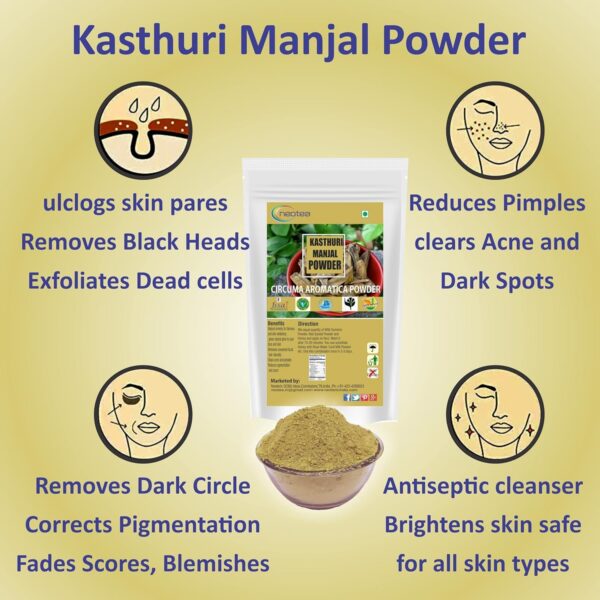 Version 1.0.0 Polvo Haldi puro orgánico neotea en paquete