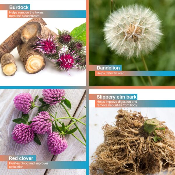 Polvo herbal detox Wellgenix instantáneo 9 gramos