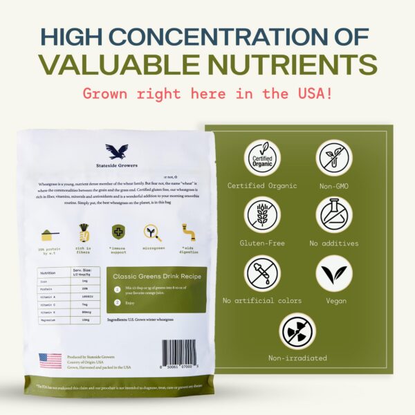 Polvo de hierba de trigo sobre cuchara mostrando textura