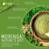 polvo-hoja-moringa-vegano-herramienta-batidos-multivitaminicos