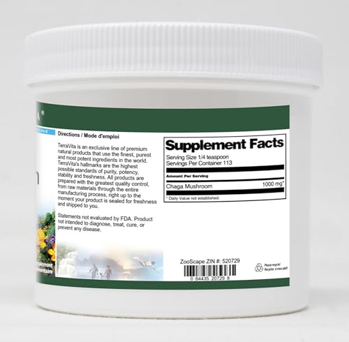 Polvo de hongo Chaga para bienestar natural