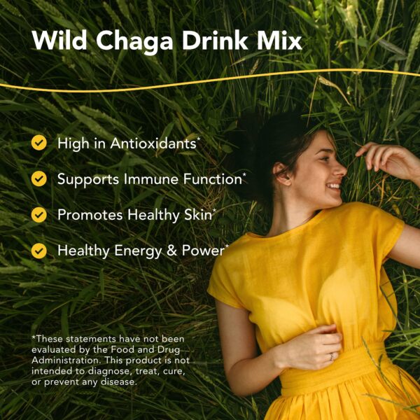 Polvo de hongo Chaga para preparar bebida