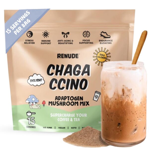 Version 1.0.0 Polvo hongo chaga Renude Chagaccino con adaptógenos