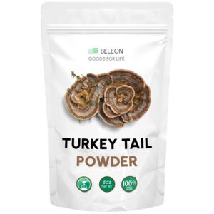 Version 1.0.0 Polvo de hongo cola de pavo en envase.