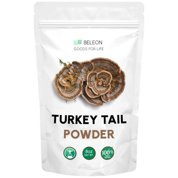 Polvo de hongo cola de pavo en envase.