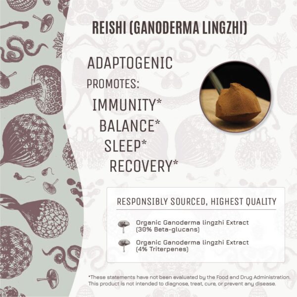 Polvo de hongo Reishi para inmunidad