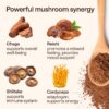 Polvo hongos para café adaptógeno bebida saludable energético