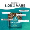 Version 1.0.0 Polvo melena de león para apoyo cognitivo y sistema nervioso