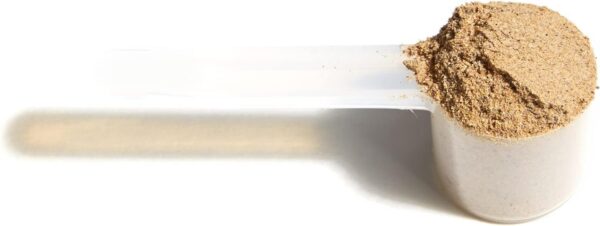 Version 1.0.0 Polvo Natural Factors Energize con mezcla de ingredientes naturales