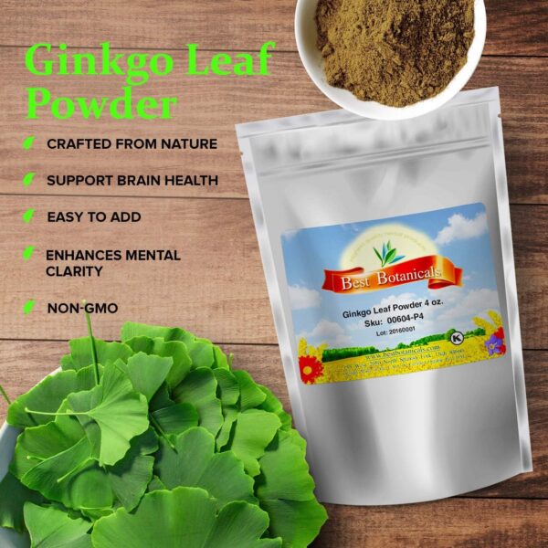 Polvo natural de ginkgo biloba para té y suplementos