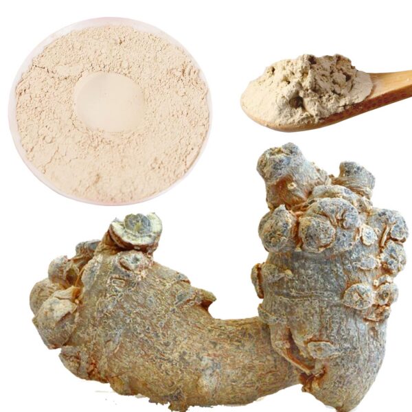 Polvo natural de ginseng Tienchi DIAN MAI HAO 100% puro
