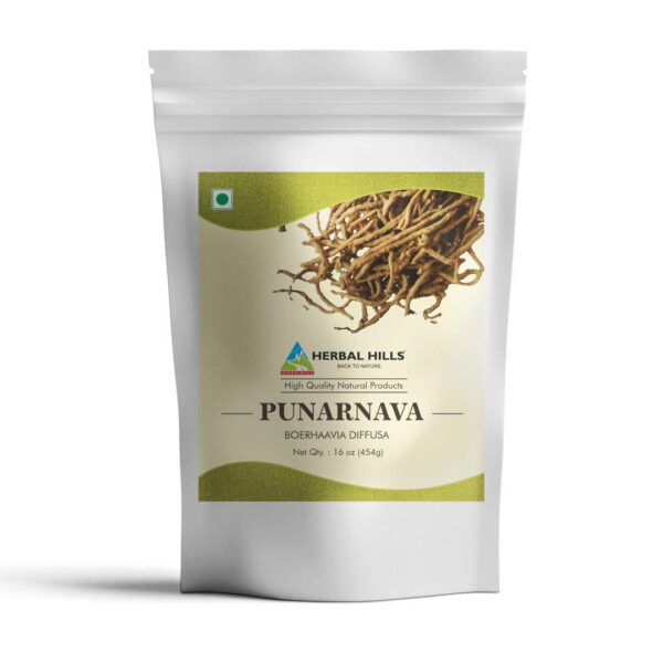 Polvo natural de raíces de Punarnava Herbal Hills 454 gramos